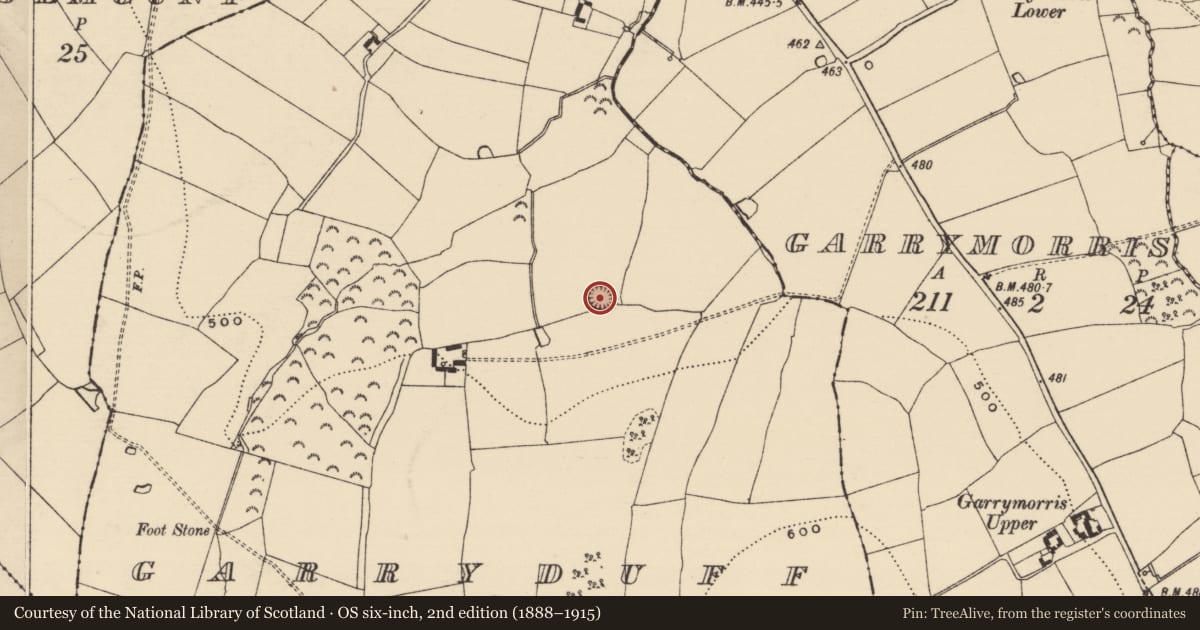 Ordnance Survey six-inch map, 2nd edition (1888–1915) covering the location of Ringfort - rath, Garryduff (Garrangibbon Par.), County Tipperary South, with a pin at the register's coordinates