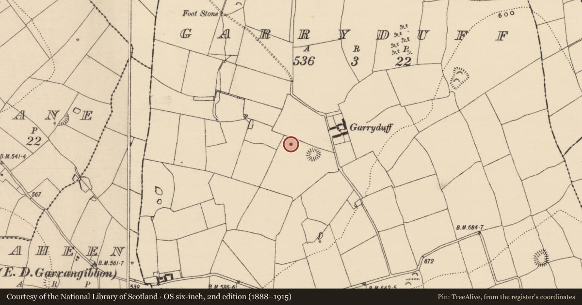Ordnance Survey six-inch map, 2nd edition (1888–1915) covering the location of Enclosure, Garryduff (Garrangibbon Par.), County Tipperary South, with a pin at the register's coordinates