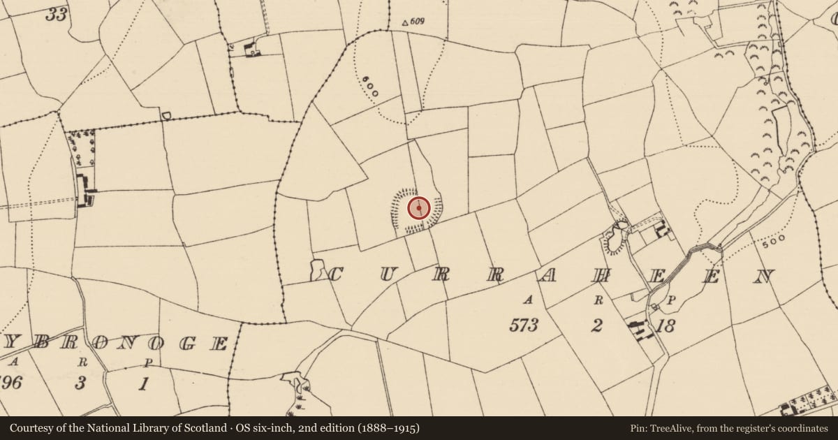 Ordnance Survey six-inch map, 2nd edition (1888–1915) covering the location of Enclosure, Curraheen (Newtownlennan Par.), County Tipperary South, with a pin at the register's coordinates