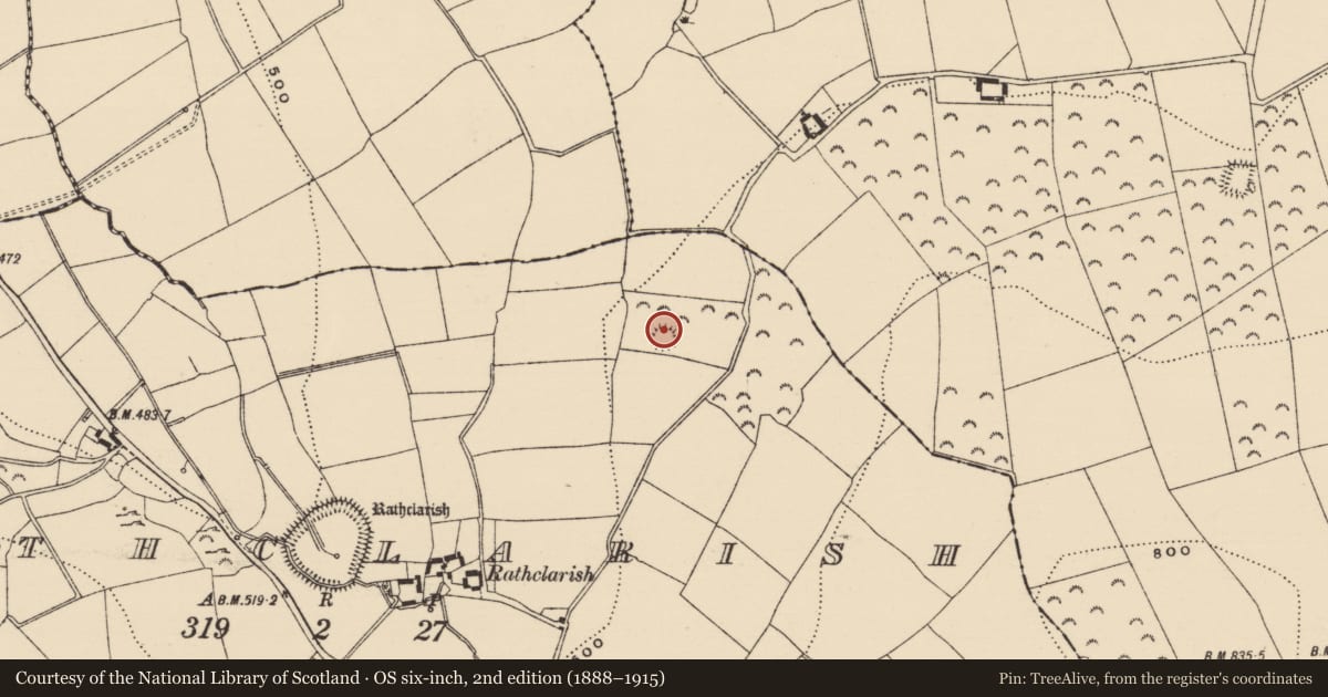 Ordnance Survey six-inch map, 2nd edition (1888–1915) covering the location of Enclosure, Rathclarish, County Tipperary South, with a pin at the register's coordinates