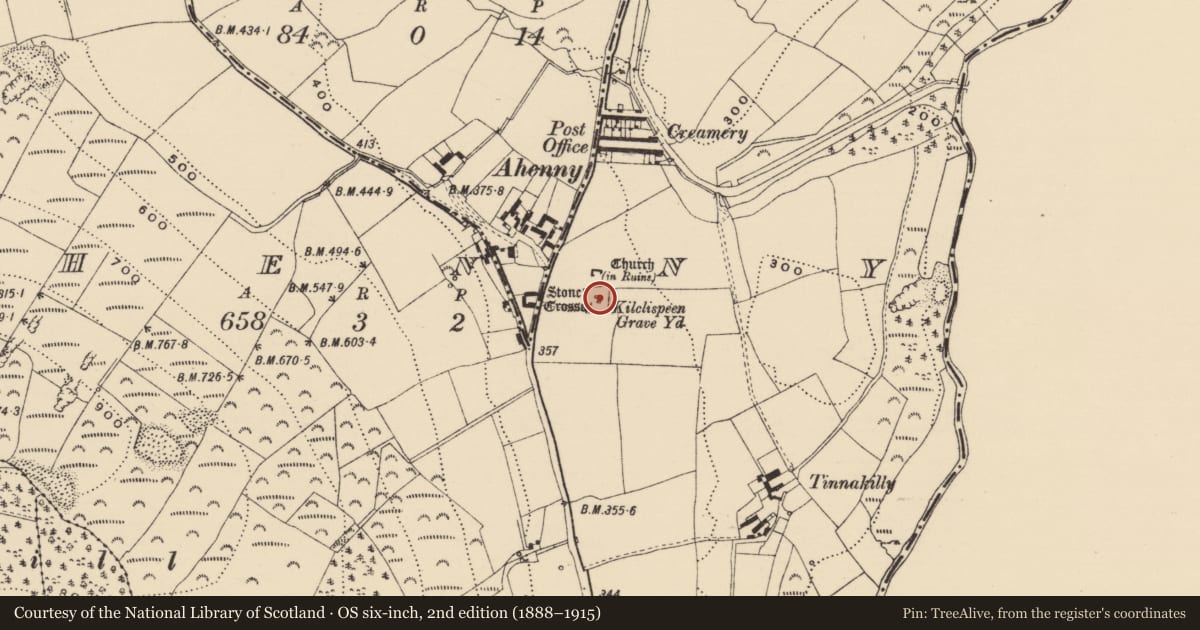 Ordnance Survey six-inch map, 2nd edition (1888–1915) covering the location of Cross - High cross, Ahenny, County Tipperary South, with a pin at the register's coordinates