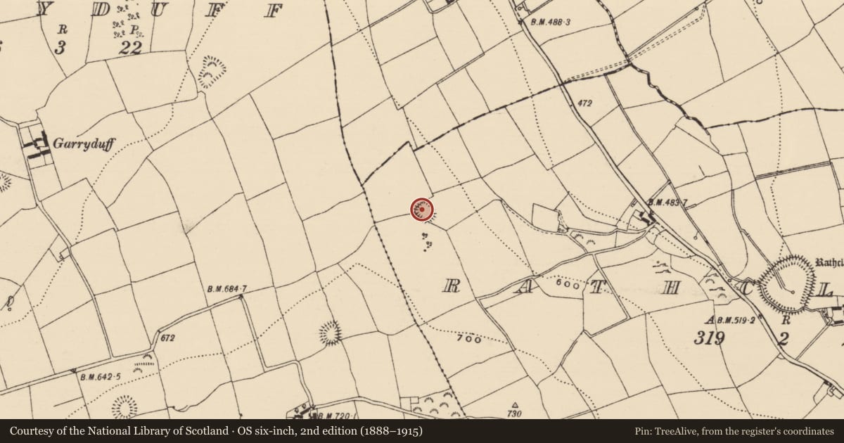 Ordnance Survey six-inch map, 2nd edition (1888–1915) covering the location of Enclosure, Rathclarish, County Tipperary South, with a pin at the register's coordinates