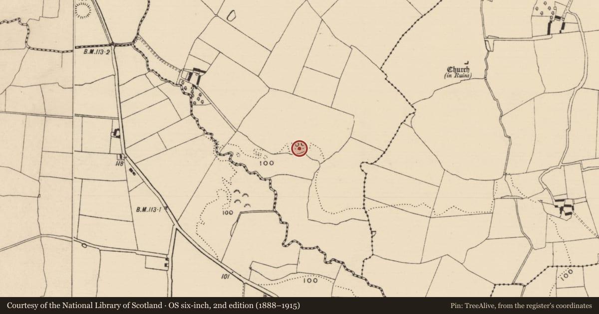 Ordnance Survey six-inch map, 2nd edition (1888–1915) covering the location of Enclosure, Curraghadobbin, County Tipperary South, with a pin at the register's coordinates