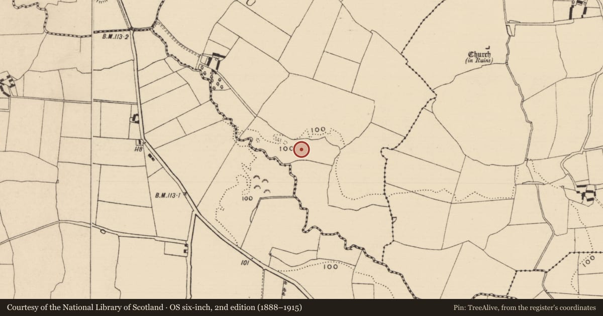 Ordnance Survey six-inch map, 2nd edition (1888–1915) covering the location of Fulacht fia, Curraghadobbin, County Tipperary South, with a pin at the register's coordinates