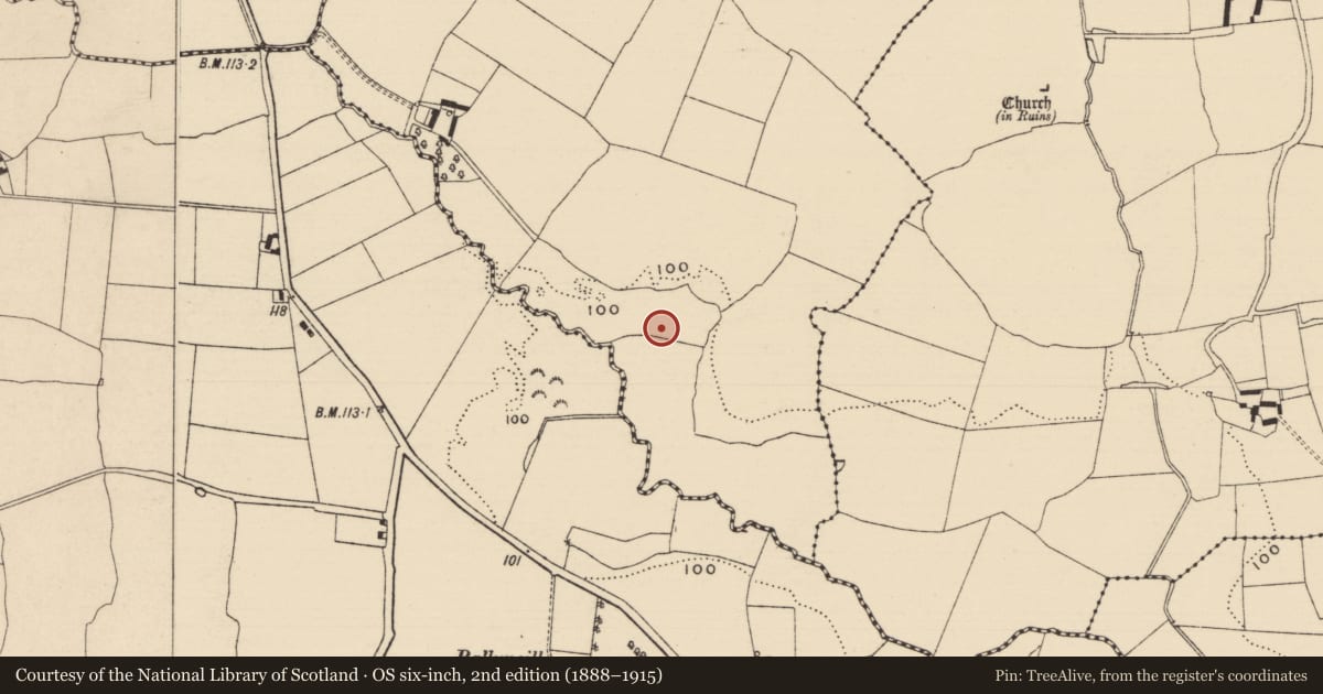 Ordnance Survey six-inch map, 2nd edition (1888–1915) covering the location of Fulacht fia, Curraghadobbin, County Tipperary South, with a pin at the register's coordinates