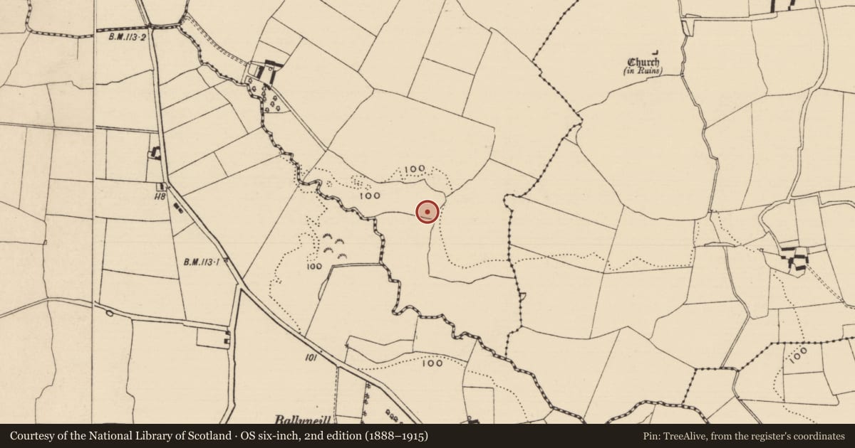 Ordnance Survey six-inch map, 2nd edition (1888–1915) covering the location of Fulacht fia, Curraghadobbin, County Tipperary South, with a pin at the register's coordinates