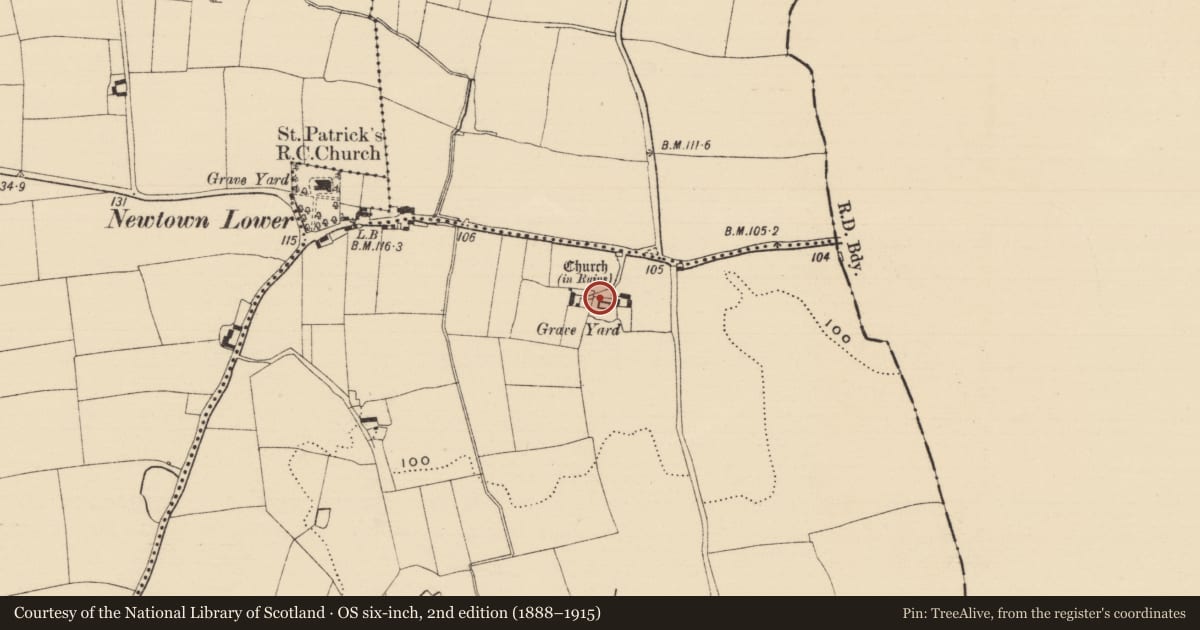 Ordnance Survey six-inch map, 2nd edition (1888–1915) covering the location of Graveslab, Newtown Lower, County Tipperary South, with a pin at the register's coordinates