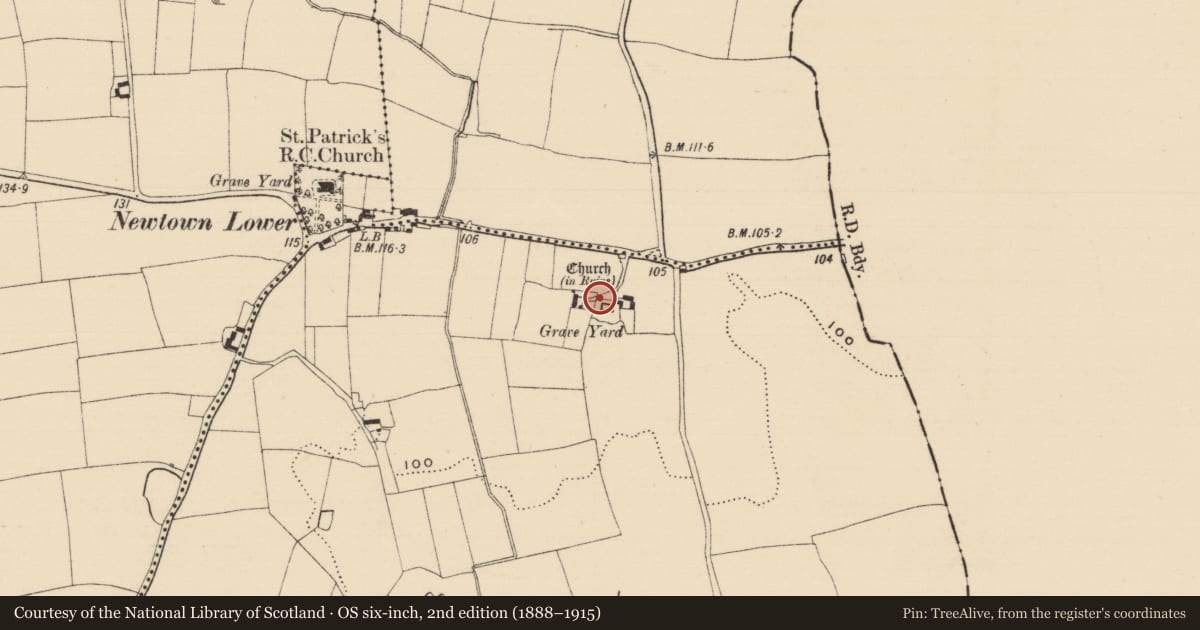 Ordnance Survey six-inch map, 2nd edition (1888–1915) covering the location of Graveslab, Newtown Lower, County Tipperary South, with a pin at the register's coordinates