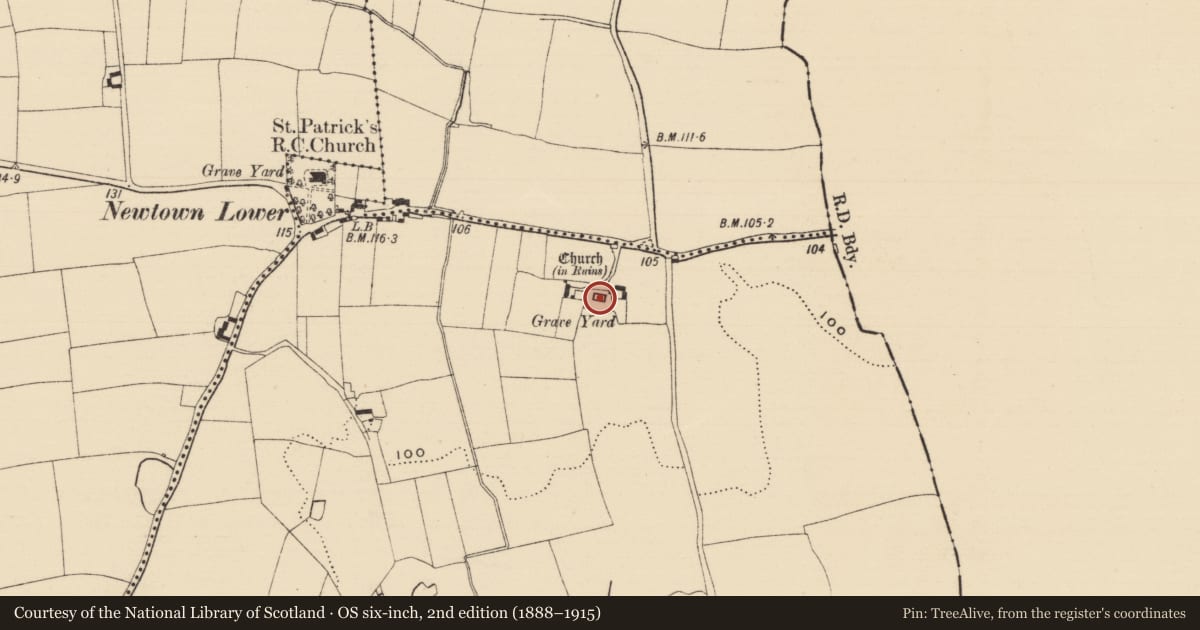 Ordnance Survey six-inch map, 2nd edition (1888–1915) covering the location of Graveslab, Newtown Lower, County Tipperary South, with a pin at the register's coordinates
