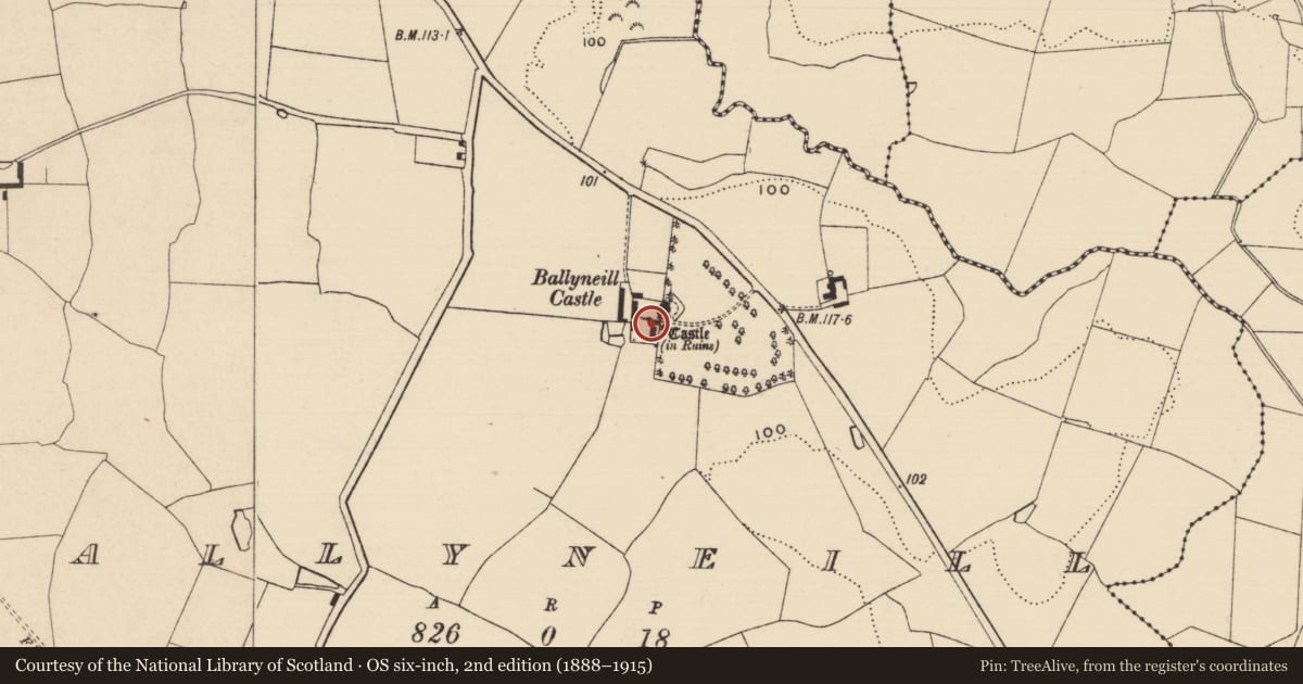 Ordnance Survey six-inch map, 2nd edition (1888–1915) covering the location of Bawn, Ballyneill (Kilmurry Par.), County Tipperary South, with a pin at the register's coordinates