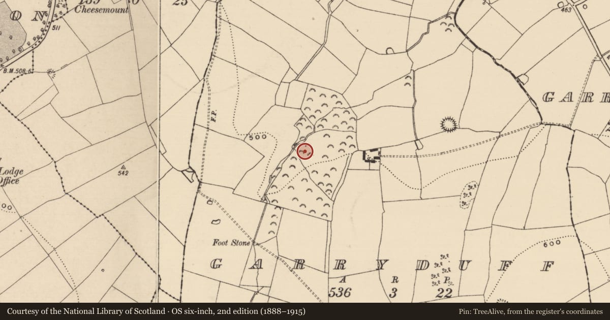 Ordnance Survey six-inch map, 2nd edition (1888–1915) covering the location of Enclosure, Garryduff (Garrangibbon Par.), County Tipperary South, with a pin at the register's coordinates