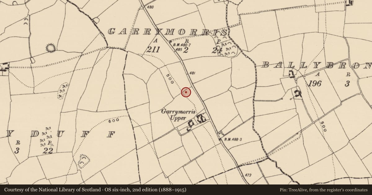 Ordnance Survey six-inch map, 2nd edition (1888–1915) covering the location of Enclosure, Garrymorris, County Tipperary South, with a pin at the register's coordinates