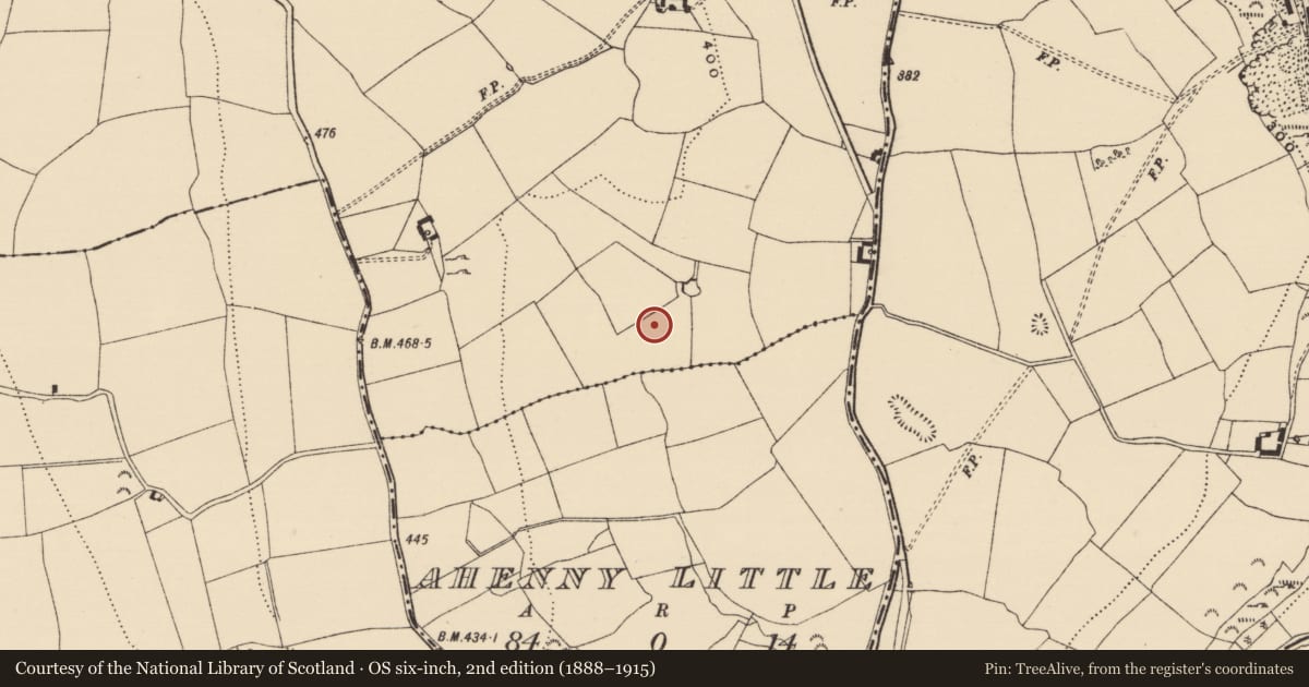 Ordnance Survey six-inch map, 2nd edition (1888–1915) covering the location of Enclosure, Clashnasmut, County Tipperary South, with a pin at the register's coordinates