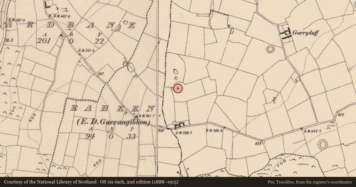 Ordnance Survey six-inch map, 2nd edition (1888–1915) covering the location of Enclosure, Garryduff (Garrangibbon Par.), County Tipperary South, with a pin at the register's coordinates