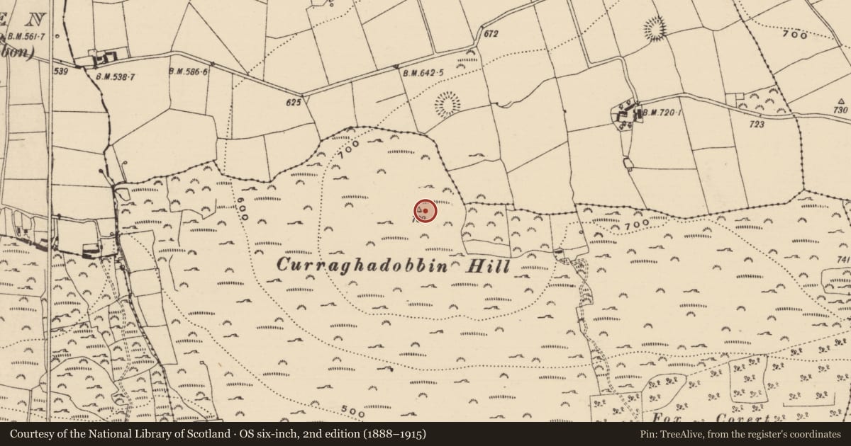 Ordnance Survey six-inch map, 2nd edition (1888–1915) covering the location of Cairn - unclassified, Curraghadobbin, County Tipperary South, with a pin at the register's coordinates