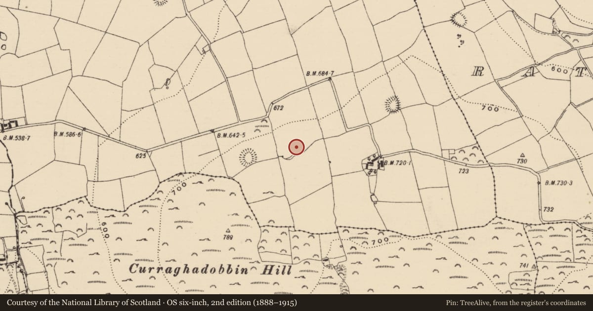 Ordnance Survey six-inch map, 2nd edition (1888–1915) covering the location of Enclosure, Garryduff (Garrangibbon Par.), County Tipperary South, with a pin at the register's coordinates