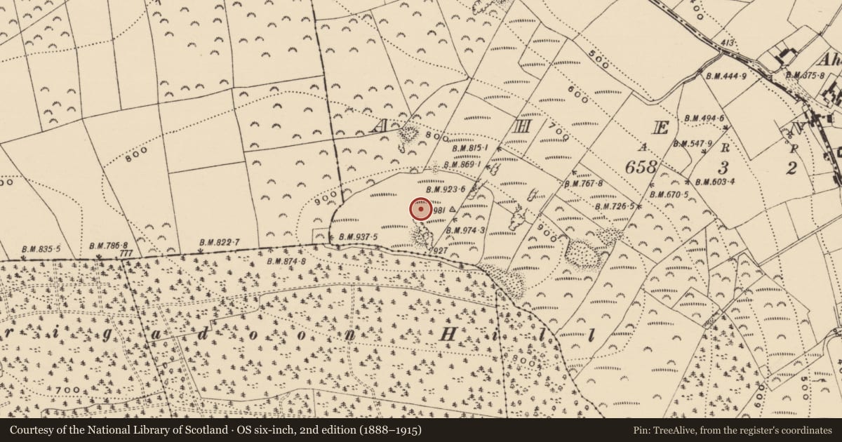 Ordnance Survey six-inch map, 2nd edition (1888–1915) covering the location of Hillfort, County Tipperary South, with a pin at the register's coordinates