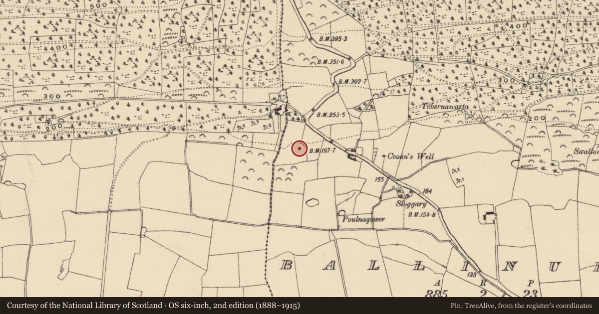 Ordnance Survey six-inch map, 2nd edition (1888–1915) covering the location of Enclosure, Ballinurra, County Tipperary South, with a pin at the register's coordinates