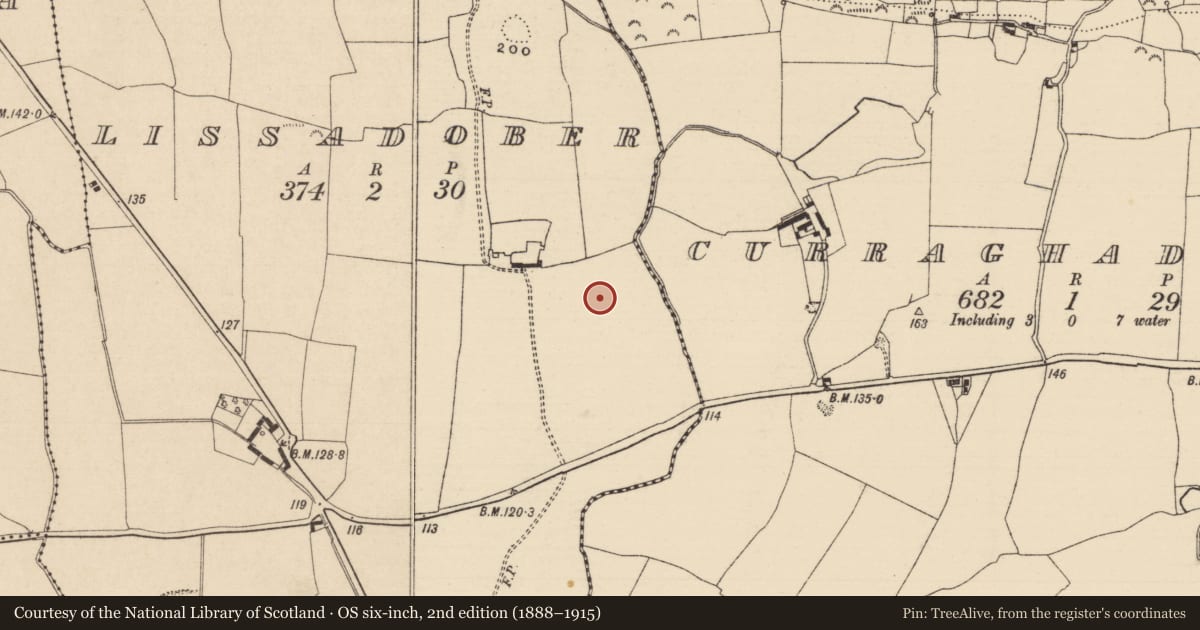 Ordnance Survey six-inch map, 2nd edition (1888–1915) covering the location of Enclosure, Lissadober, County Tipperary South, with a pin at the register's coordinates