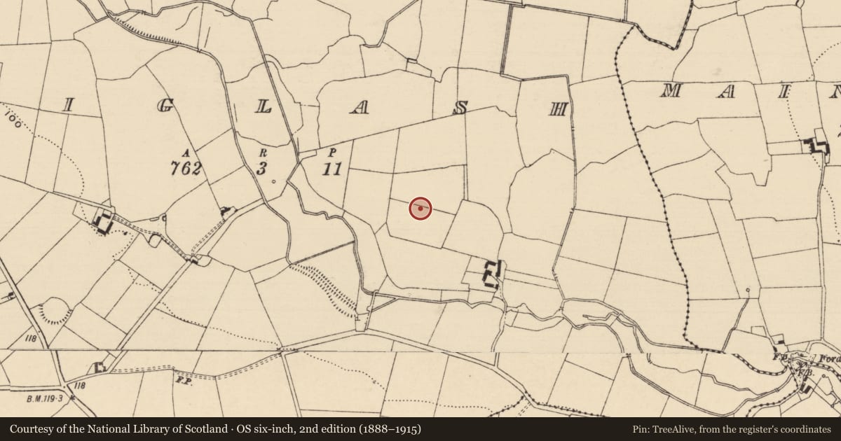 Ordnance Survey six-inch map, 2nd edition (1888–1915) covering the location of Enclosure, Figlash, County Tipperary South, with a pin at the register's coordinates
