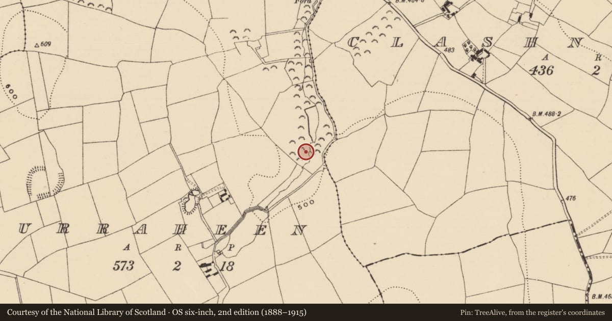 Ordnance Survey six-inch map, 2nd edition (1888–1915) covering the location of Fulacht fia, Curraheen (Newtownlennan Par.), County Tipperary South, with a pin at the register's coordinates