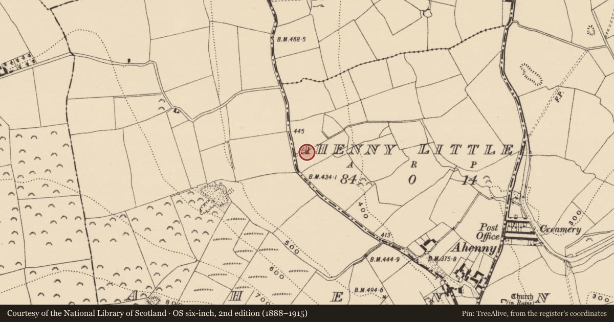 Ordnance Survey six-inch map, 2nd edition (1888–1915) covering the location of Fulacht fia, Ahenny Little, County Tipperary South, with a pin at the register's coordinates