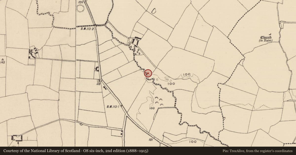 Ordnance Survey six-inch map, 2nd edition (1888–1915) covering the location of Fulacht fia, Curraghadobbin, County Tipperary South, with a pin at the register's coordinates