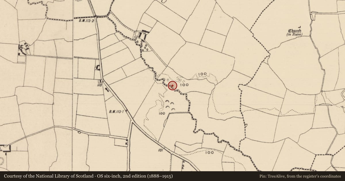 Ordnance Survey six-inch map, 2nd edition (1888–1915) covering the location of Fulacht fia, Curraghadobbin, County Tipperary South, with a pin at the register's coordinates