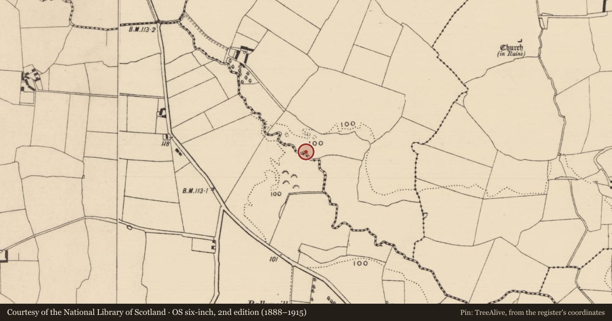 Ordnance Survey six-inch map, 2nd edition (1888–1915) covering the location of Fulacht fia, Curraghadobbin, County Tipperary South, with a pin at the register's coordinates