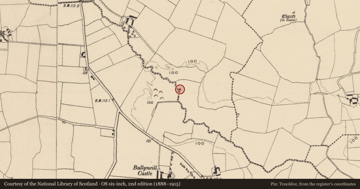 Ordnance Survey six-inch map, 2nd edition (1888–1915) covering the location of Fulacht fia, Curraghadobbin, County Tipperary South, with a pin at the register's coordinates