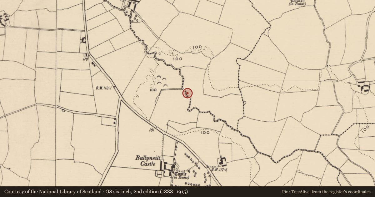 Ordnance Survey six-inch map, 2nd edition (1888–1915) covering the location of Fulacht fia, Curraghadobbin, County Tipperary South, with a pin at the register's coordinates