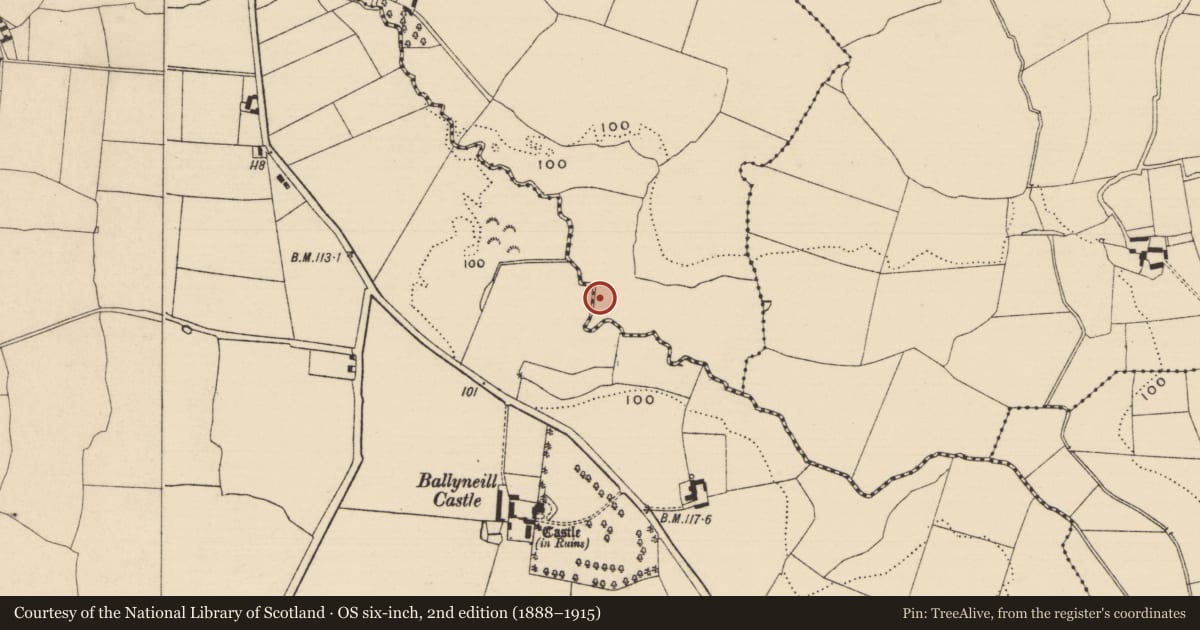 Ordnance Survey six-inch map, 2nd edition (1888–1915) covering the location of Fulacht fia, Curraghadobbin, County Tipperary South, with a pin at the register's coordinates