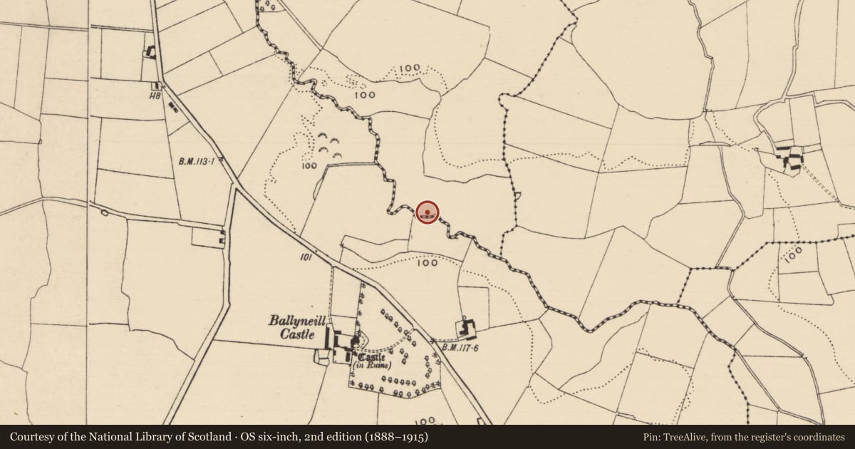 Ordnance Survey six-inch map, 2nd edition (1888–1915) covering the location of Fulacht fia, Curraghadobbin, County Tipperary South, with a pin at the register's coordinates
