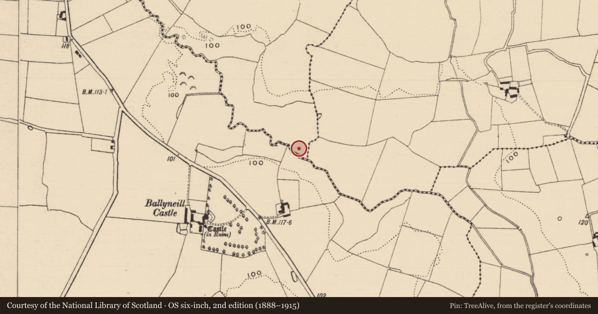 Ordnance Survey six-inch map, 2nd edition (1888–1915) covering the location of Fulacht fia, Curraghadobbin, County Tipperary South, with a pin at the register's coordinates