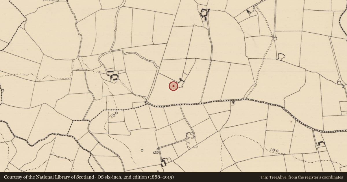 Ordnance Survey six-inch map, 2nd edition (1888–1915) covering the location of Ringfort - rath, MacReary, County Tipperary South, with a pin at the register's coordinates