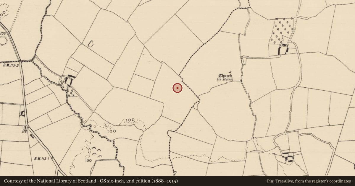 Ordnance Survey six-inch map, 2nd edition (1888–1915) covering the location of Standing stone, Curraghadobbin, County Tipperary South, with a pin at the register's coordinates