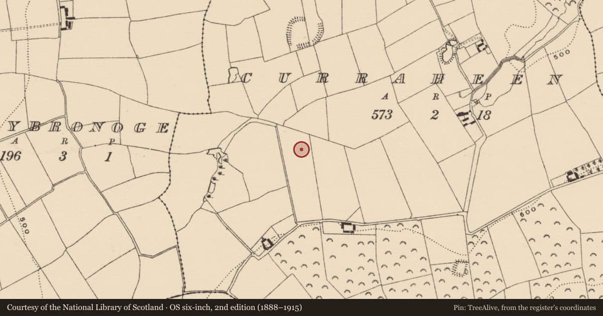 Ordnance Survey six-inch map, 2nd edition (1888–1915) covering the location of Standing stone, Curraheen (Newtownlennan Par.), County Tipperary South, with a pin at the register's coordinates