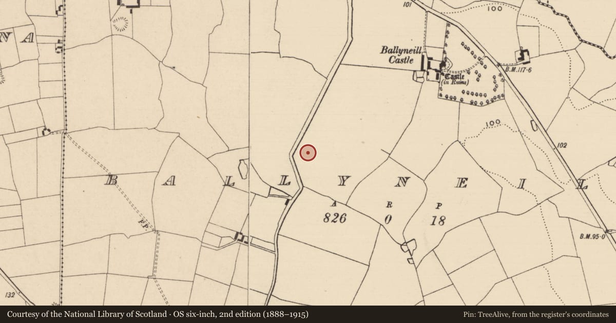 Ordnance Survey six-inch map, 2nd edition (1888–1915) covering the location of Standing stone, Ballyneill (Kilmurry Par.), County Tipperary South, with a pin at the register's coordinates