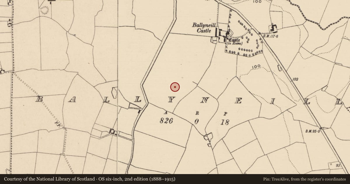 Ordnance Survey six-inch map, 2nd edition (1888–1915) covering the location of Enclosure, Ballyneill (Kilmurry Par.), County Tipperary South, with a pin at the register's coordinates