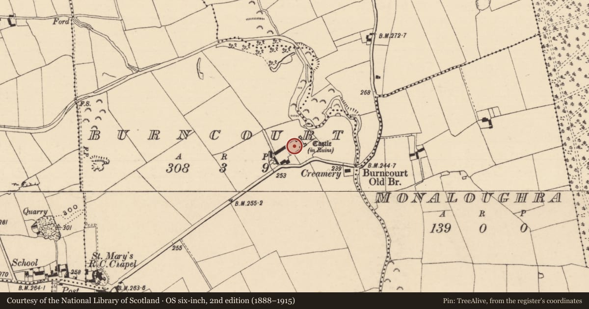 Ordnance Survey six-inch map, 2nd edition (1888–1915) covering the location of Bawn, Burncourt, County Tipperary South, with a pin at the register's coordinates