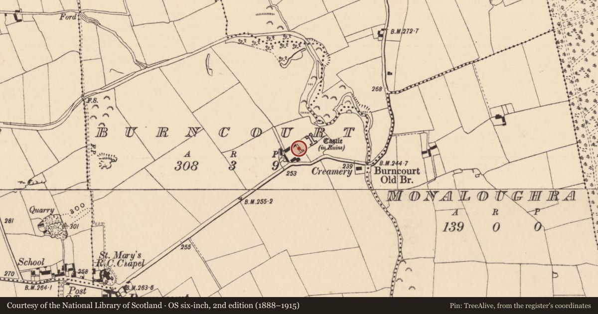 Ordnance Survey six-inch map, 2nd edition (1888–1915) covering the location of House - 17th century, Burncourt, County Tipperary South, with a pin at the register's coordinates