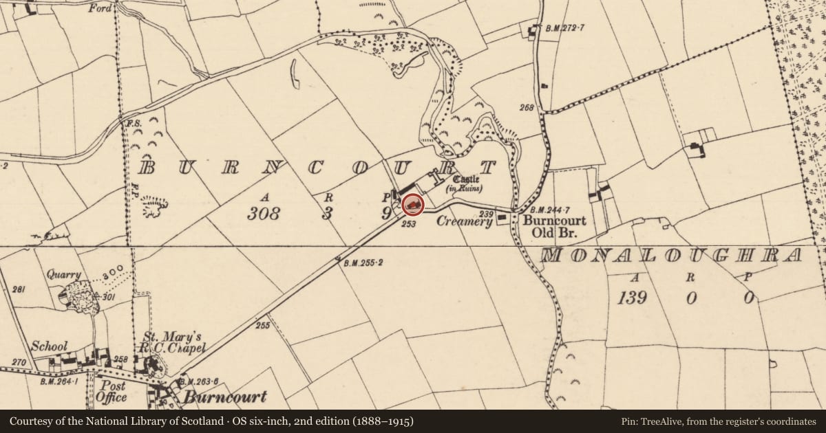 Ordnance Survey six-inch map, 2nd edition (1888–1915) covering the location of Architectural fragment, Burncourt, County Tipperary South, with a pin at the register's coordinates