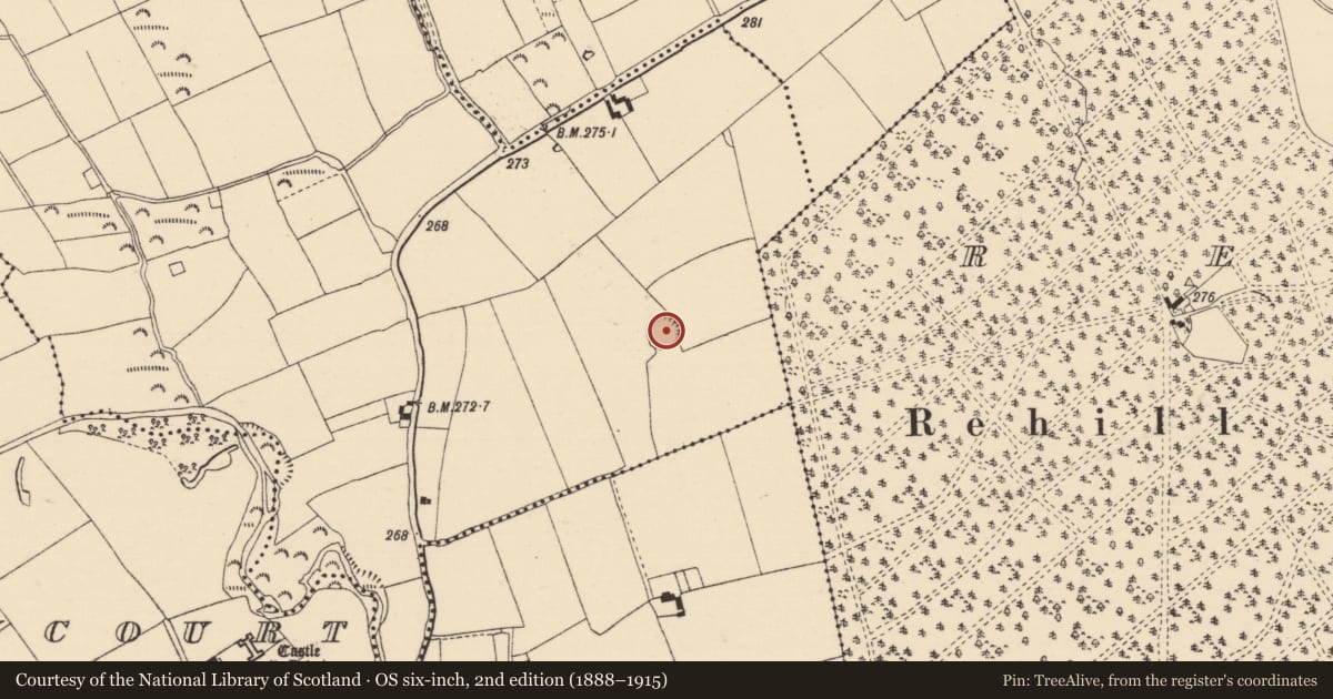 Ordnance Survey six-inch map, 2nd edition (1888–1915) covering the location of Ringfort - rath, Ballyhurrow, County Tipperary South, with a pin at the register's coordinates