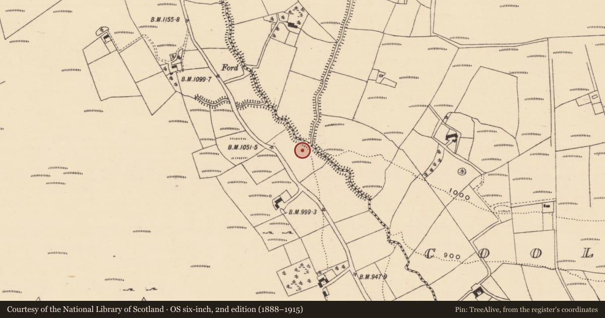 Ordnance Survey six-inch map, 2nd edition (1888–1915) covering the location of Children's burial ground, Skeheenaranky, County Tipperary South, with a pin at the register's coordinates