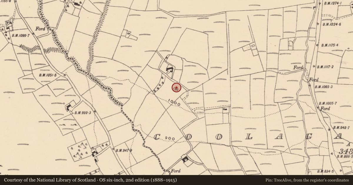 Ordnance Survey six-inch map, 2nd edition (1888–1915) covering the location of Sheepfold, Coolagarranroe, County Tipperary South, with a pin at the register's coordinates