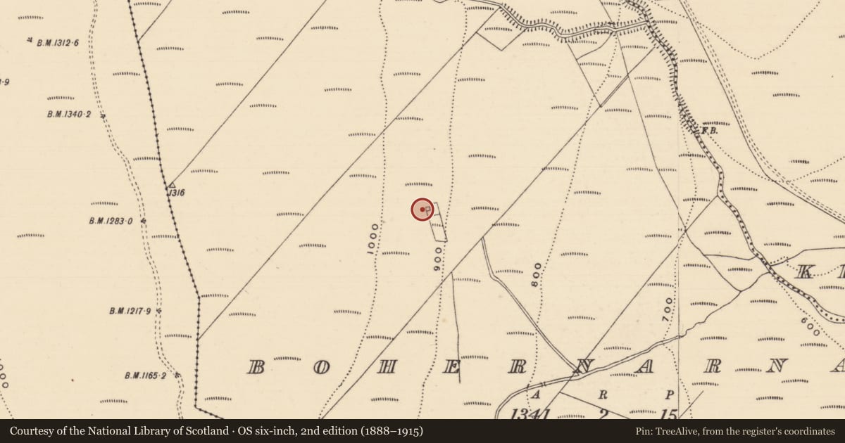 Ordnance Survey six-inch map, 2nd edition (1888–1915) covering the location of House - 19th century, Bohernarnane, County Tipperary South, with a pin at the register's coordinates