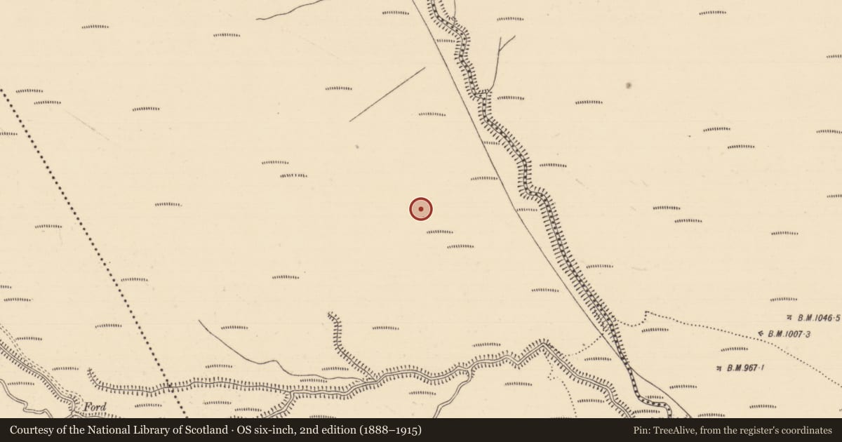 Ordnance Survey six-inch map, 2nd edition (1888–1915) covering the location of Structure, Boolakennedy (Shanrahan Par.), County Tipperary South, with a pin at the register's coordinates