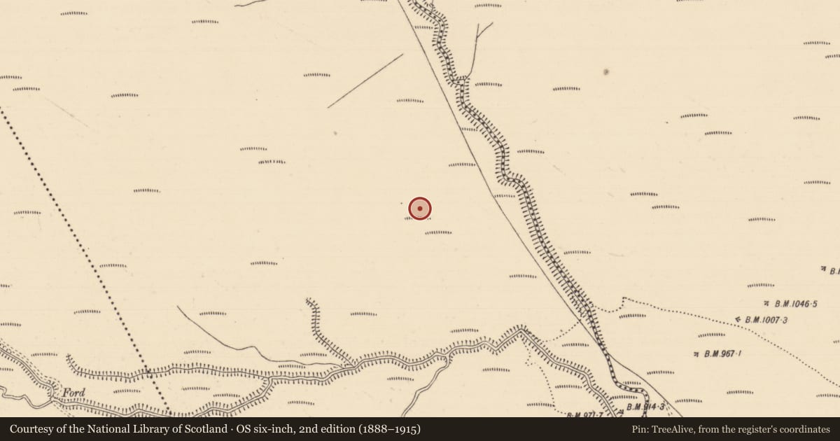 Ordnance Survey six-inch map, 2nd edition (1888–1915) covering the location of House - 18th/19th century, Boolakennedy (Shanrahan Par.), County Tipperary South, with a pin at the register's coordinates
