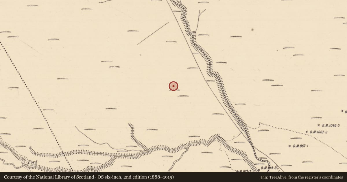 Ordnance Survey six-inch map, 2nd edition (1888–1915) covering the location of House - 18th/19th century, Boolakennedy (Shanrahan Par.), County Tipperary South, with a pin at the register's coordinates