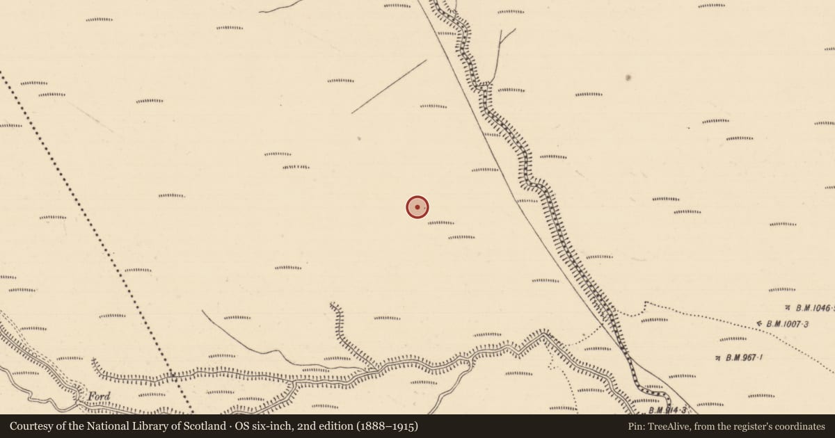Ordnance Survey six-inch map, 2nd edition (1888–1915) covering the location of Structure, Boolakennedy (Shanrahan Par.), County Tipperary South, with a pin at the register's coordinates
